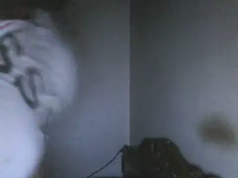 elpoop7305 online show from May 18, 2:01 am