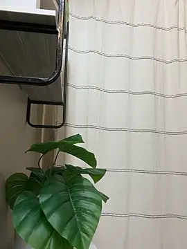 xHelloKitty online show from February 14, 11:38 pm