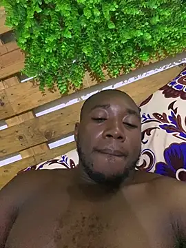 Phonx07 online show from January 15, 9:23 am