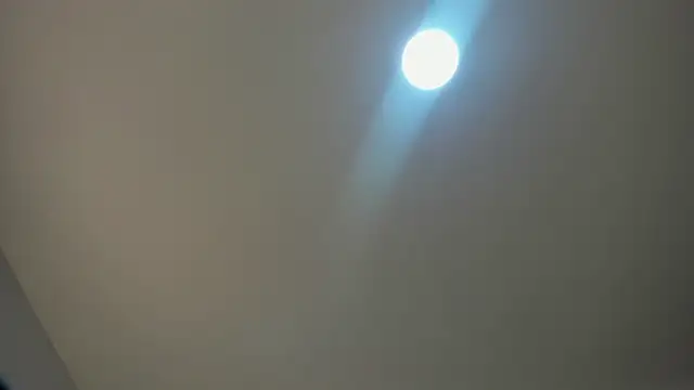 Snapshot of VioletRose_as chatting on November 30, 8:09 pm VioletRose as online show from November 30, 8:09 pm