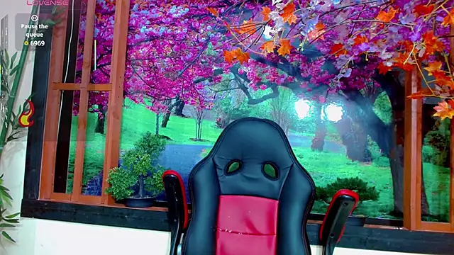 bayolet  online show from December 3, 11:31 am