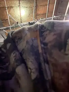 StrokingDaddy4 online show from November 14, 11:36 am