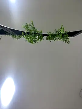 CharlotteBrownn  online show from October 25, 3:17 am