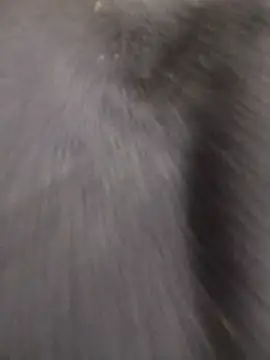 Funny Karina online show from December 15, 6:36 pm