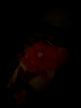 tyteo1010 online show from December 22, 3:01 pm