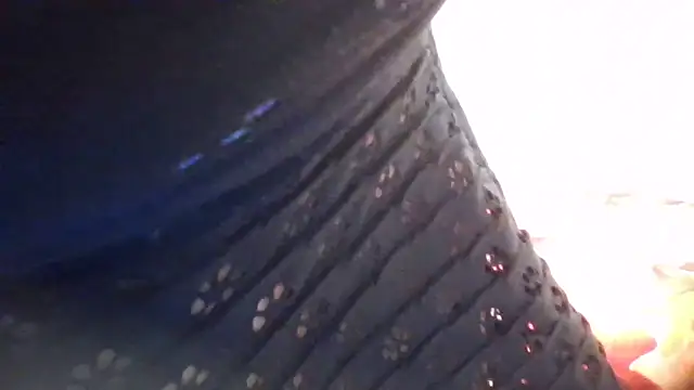 LustInLips online show from October 9, 5:08 am