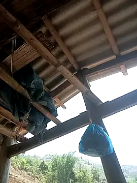 CoMay003 online show from April 12, 4:49 am