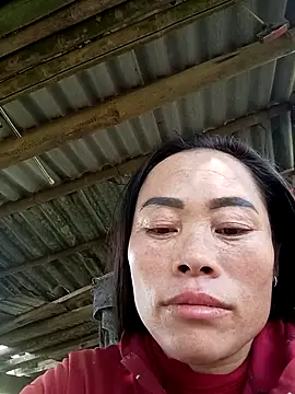 CoMay003 online show from November 15, 6:17 am