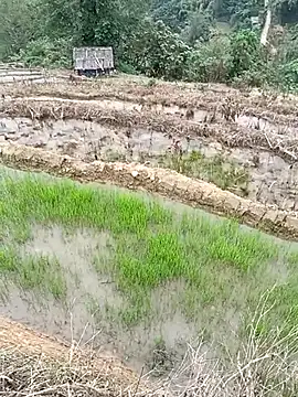 CoMay003 online show from April 1, 6:15 am