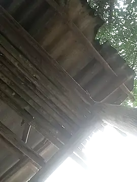 CoMay003 online show from April 2, 5:25 am