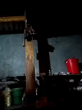 CoMay003 online show from February 15, 12:00 am