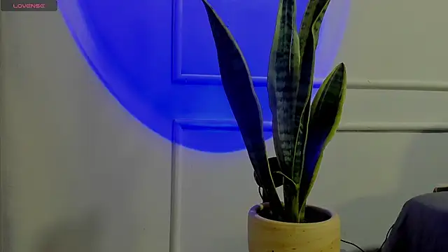 Snapshot of Ice_Princess_ chatting on October 2, 4:38 am Ice Princess  online show from October 2, 4:38 am