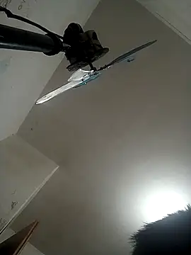 Ariihot online show from November 12, 9:02 am