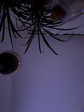 Jaropol online show from January 10, 1:23 am