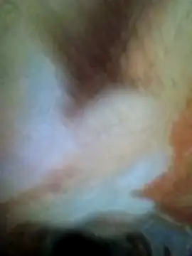 Snapshot of HOT-MUNDA chatting on December 17, 1:32 am HOT-MUNDA online show from December 17, 1:32 am