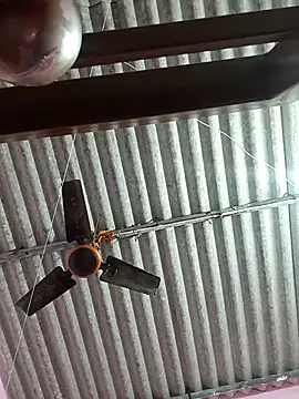 Cute-Swewty online show from November 18, 2:53 pm