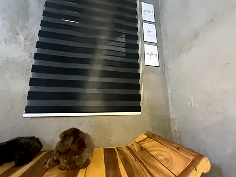 wild apple69 online show from December 15, 7:25 am