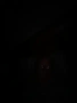 philefc online show from September 27, 6:19 am