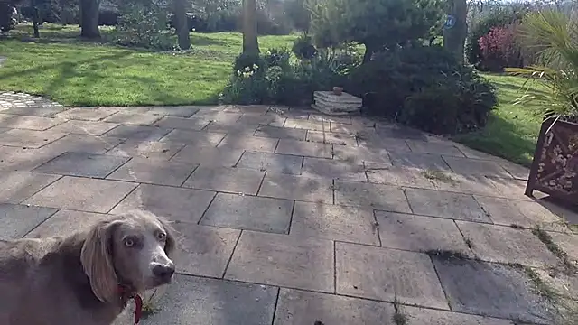 3615-ULLA online show from March 10, 2:32 pm