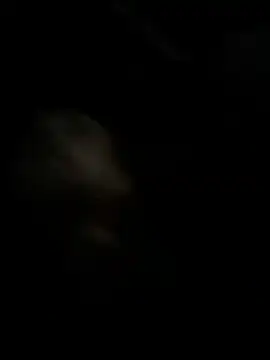 high3ndlowlife online show from November 27, 2:12 am