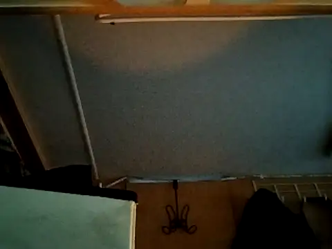 high3ndlowlife online show from December 16, 5:50 pm