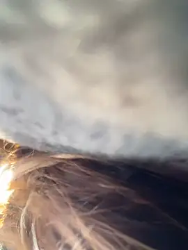   BabyShowPublic   online show from March 28, 9:21 am