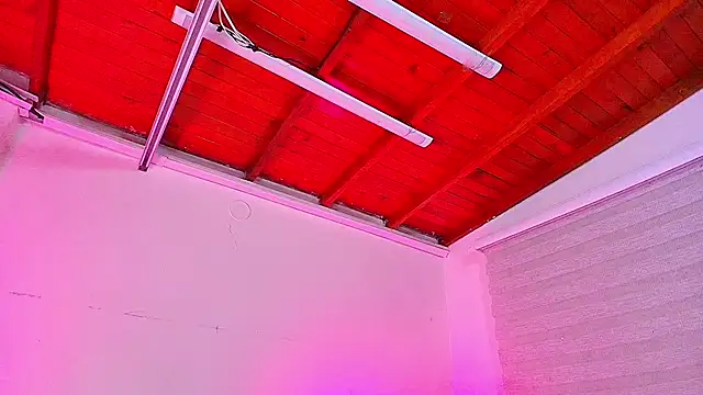 emma madi online show from September 29, 12:00 pm