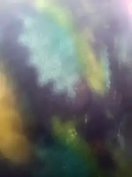 Juhi chawla online show from November 18, 9:01 am