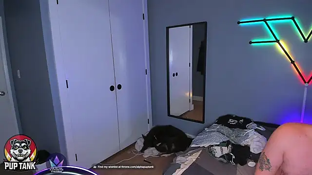 puptank online show from November 23, 7:51 am