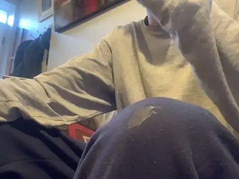 Insurance-03 online show from November 21, 7:24 pm