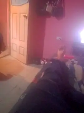 shessAz online show from February 7, 3:09 pm