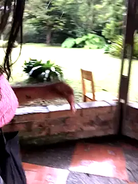 Snapshot of SophiaGuzman chatting on October 11, 9:38 pm SophiaGuzman online show from October 11, 9:38 pm