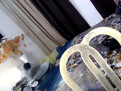 bhad karina online show from November 14, 6:33 pm