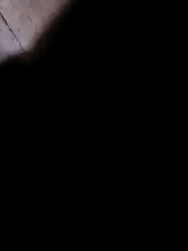 princexdcs online show from February 6, 4:08 am