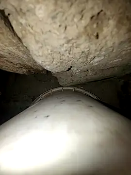 princexdcs online show from February 10, 9:14 pm