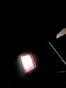 princexdcs online show from February 7, 10:56 am