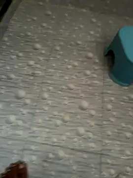 NoddingScorpion online show from October 16, 3:26 am