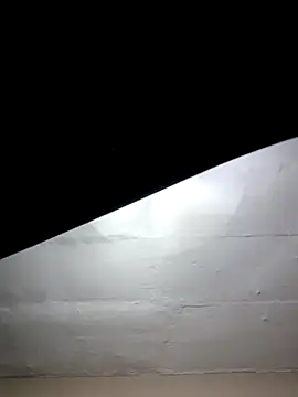 mileesha online show from January 17, 6:33 pm