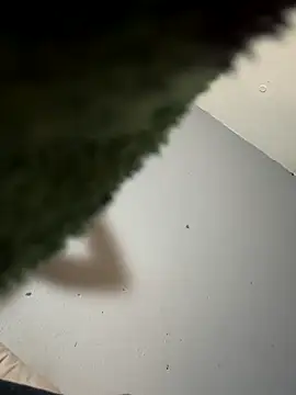 StoneyCam online show from November 4, 5:22 am