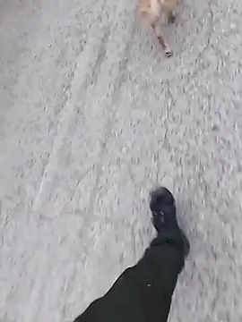 Axelitoc online show from March 5, 6:10 am