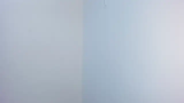 stephane rouss online show from November 18, 8:56 pm