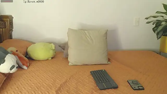 Raven06  online show from November 11, 12:05 am