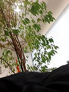 Snapshot of Emily_de_Carla chatting on September 24, 3:29 pm Emily de Carla online show from September 24, 3:29 pm
