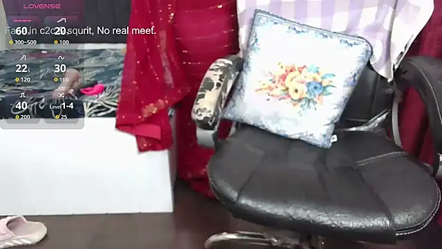 Prince ki Princess online show from December 20, 12:19 pm