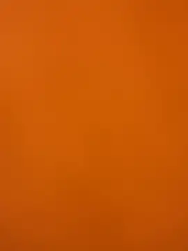 XanderOzzz online show from December 2, 8:32 pm