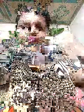 Payel 50 online show from May 25, 4:28 pm