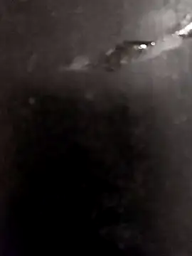 Sakshi4u online show from February 5, 9:27 am