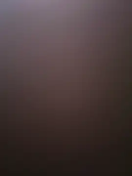 rph96 online show from February 10, 1:21 pm