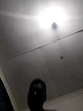 TmanZim2025 online show from April 14, 7:19 pm