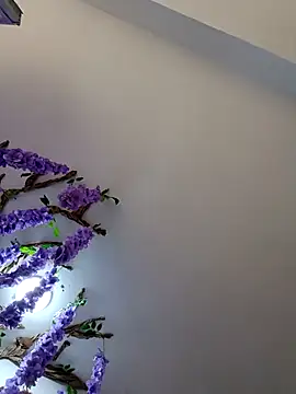 burbuja02 online show from April 5, 2:35 pm